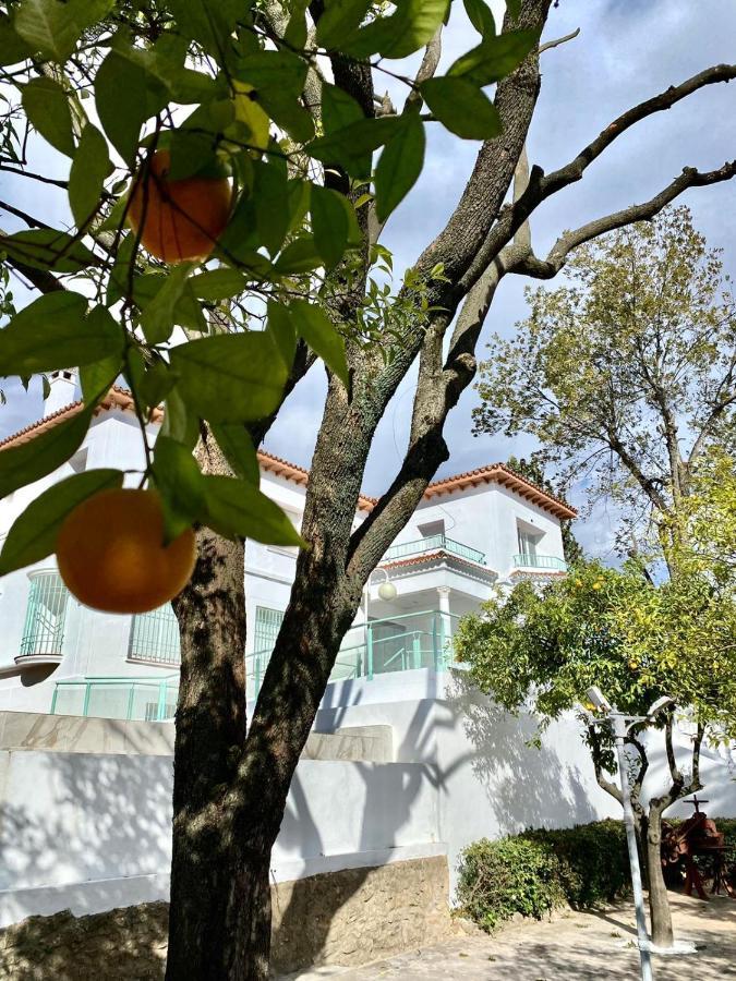 Los Almendros - Free Parking 科爾多瓦 外观 照片